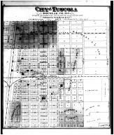 Tuscola City, Douglas County 1875